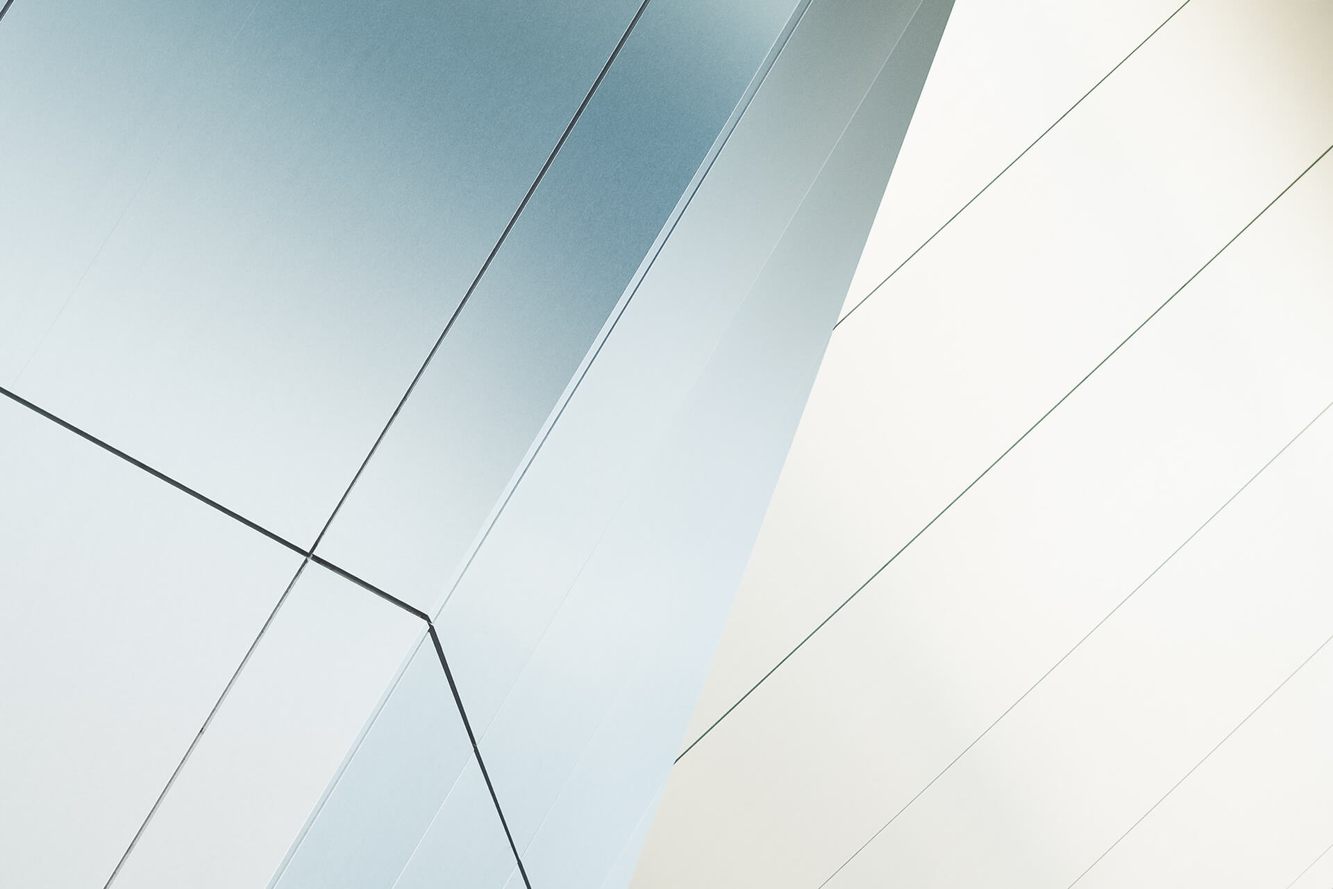 Next blue investment tech solutions